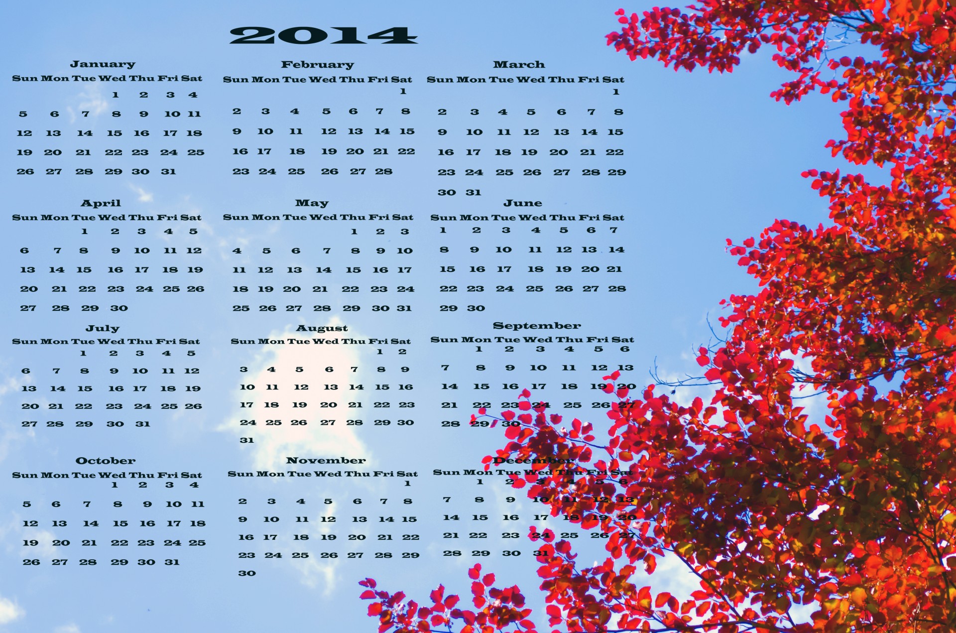 2014 calendar vector free photo