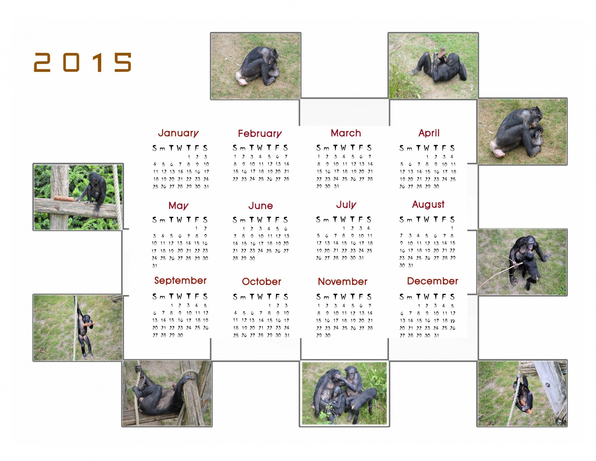 calendar 2015 calendar planner free photo