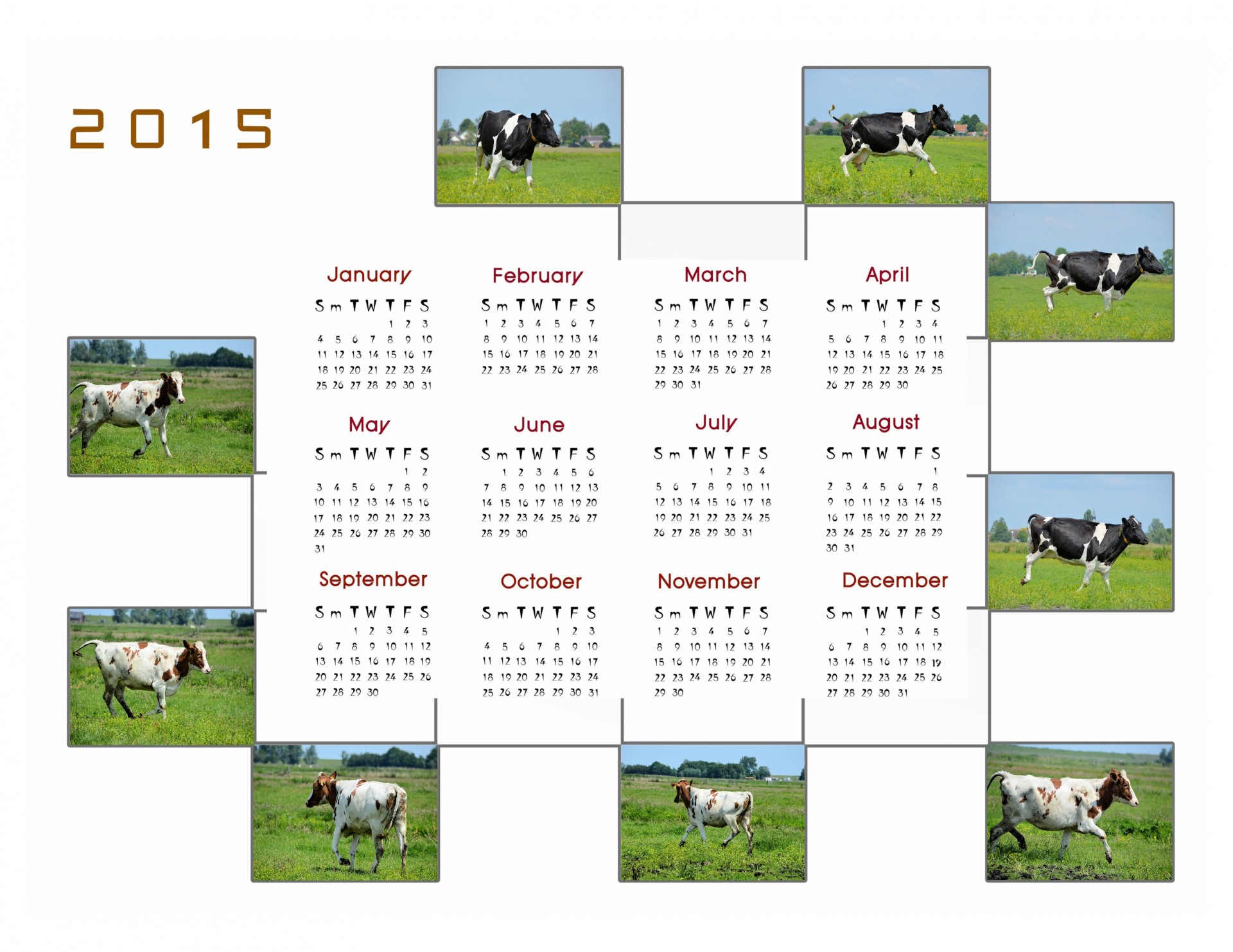 calendar 2015 calendar planner free photo