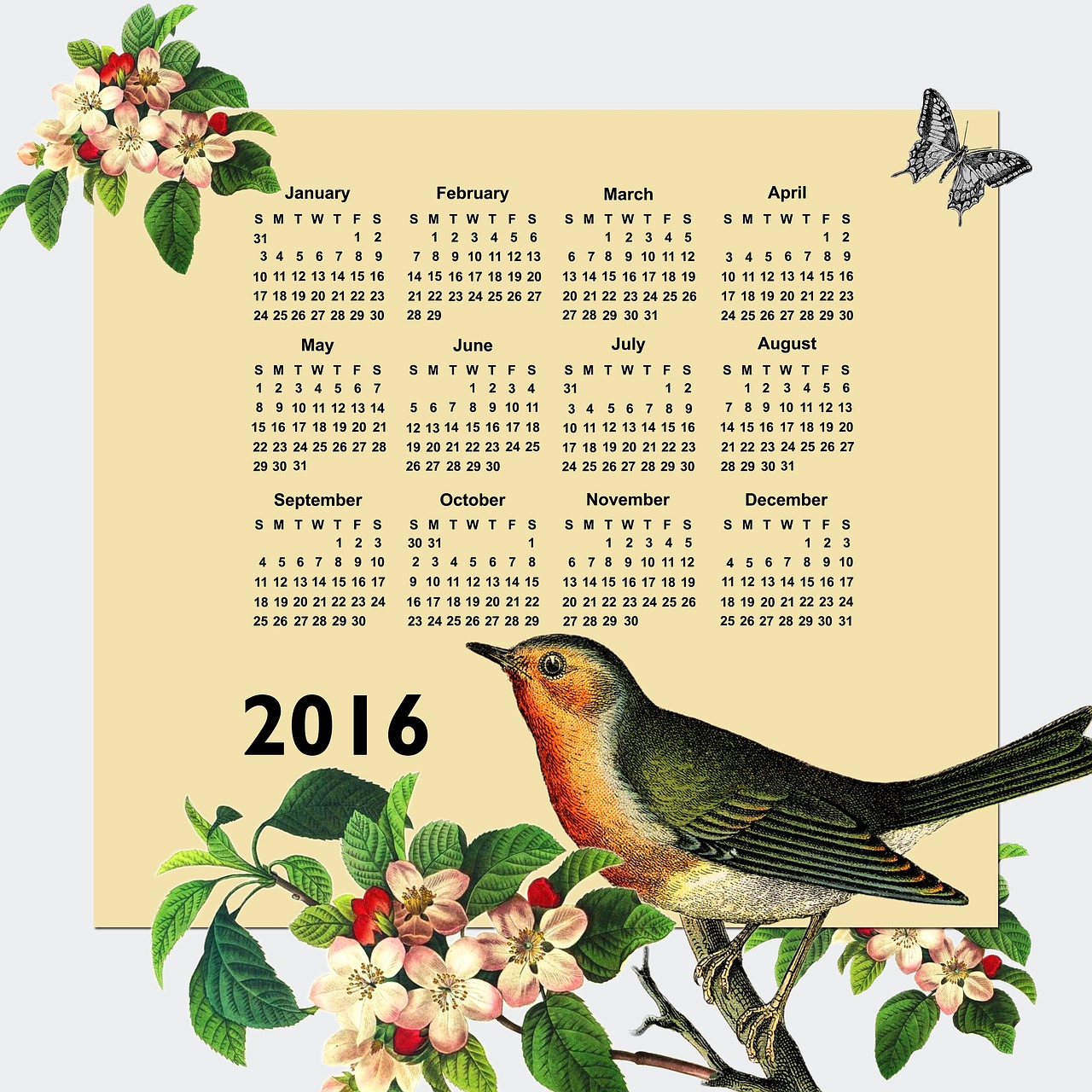 calendar 2016 2016 calendar free photo