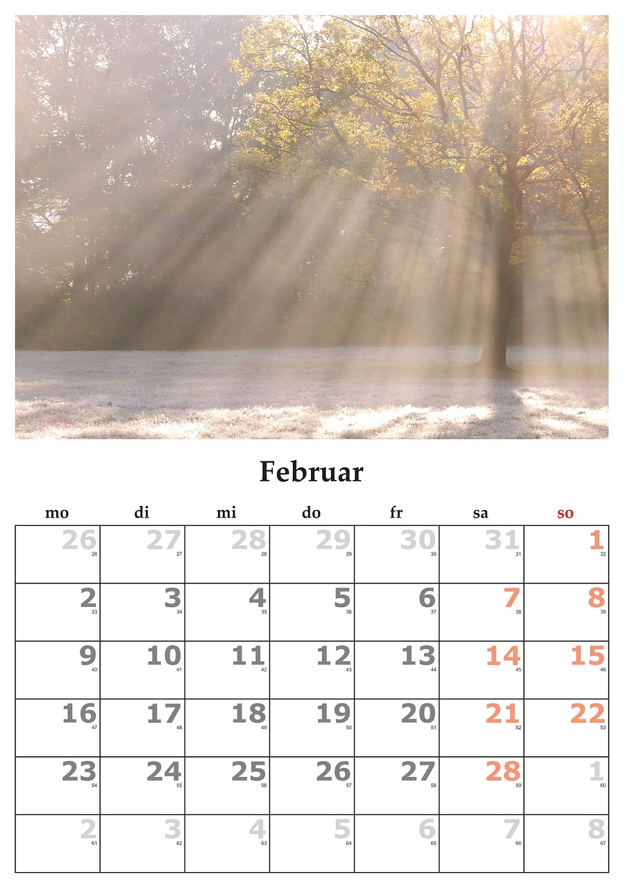 calendar month february free photo
