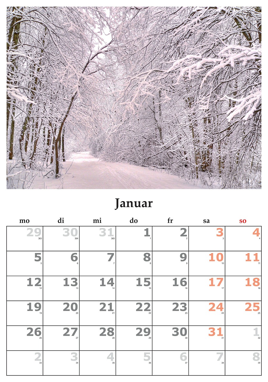 calendar month january free photo