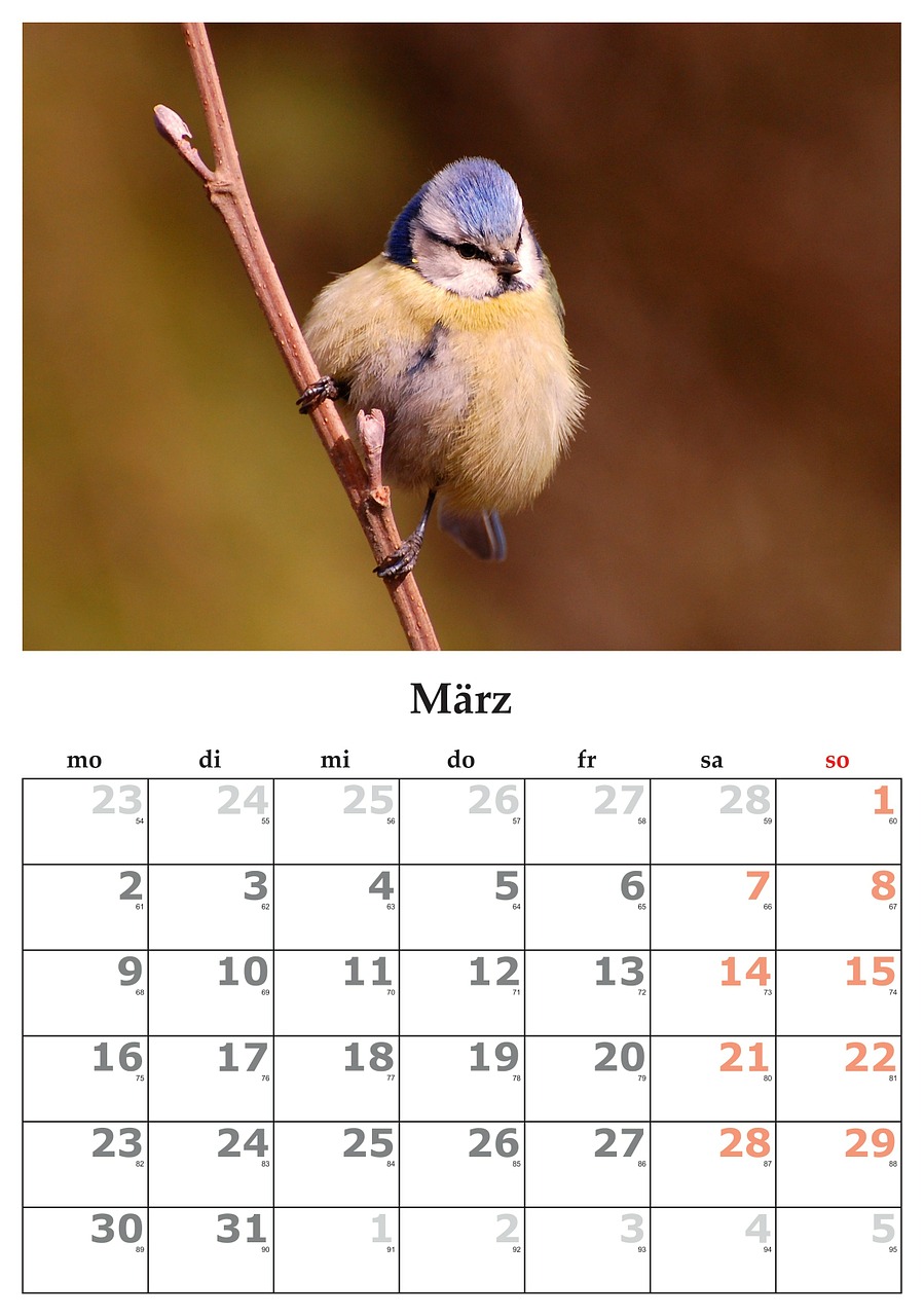 calendar month march free photo