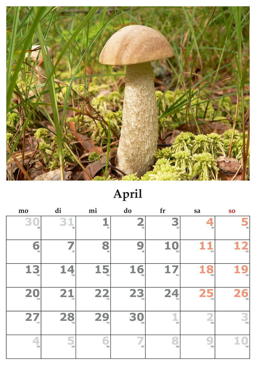 calendar month april free photo