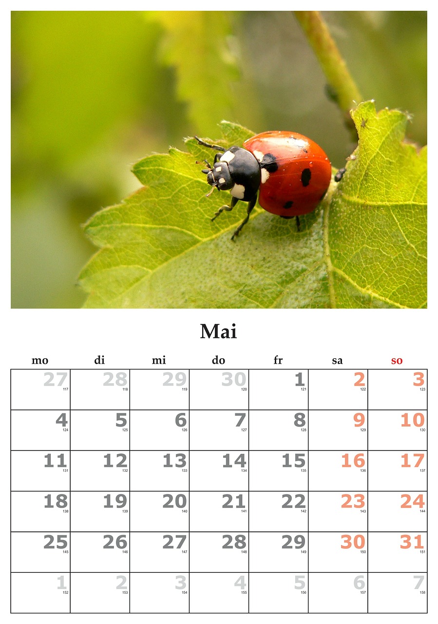 calendar month may free photo