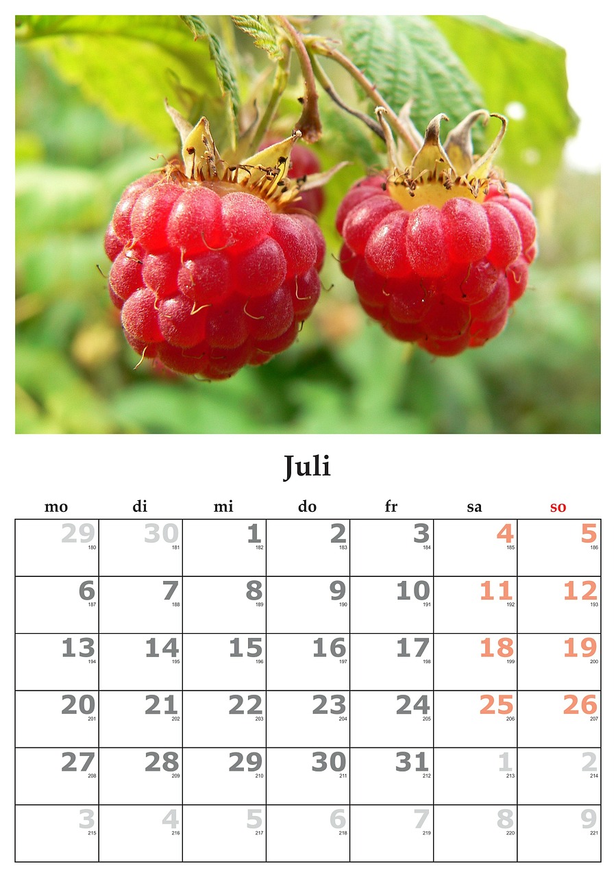 calendar month july free photo