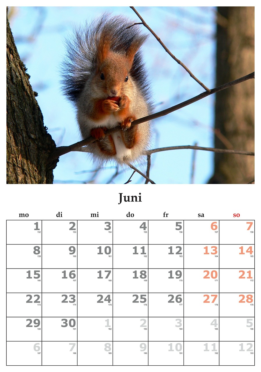 calendar month june free photo
