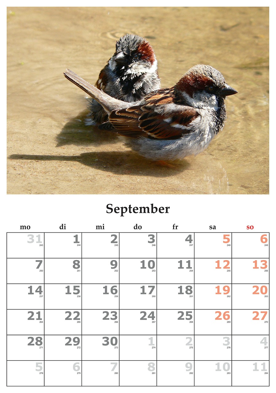 calendar month september free photo