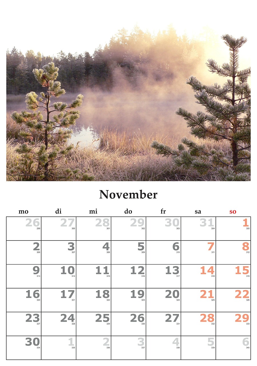 calendar month november free photo