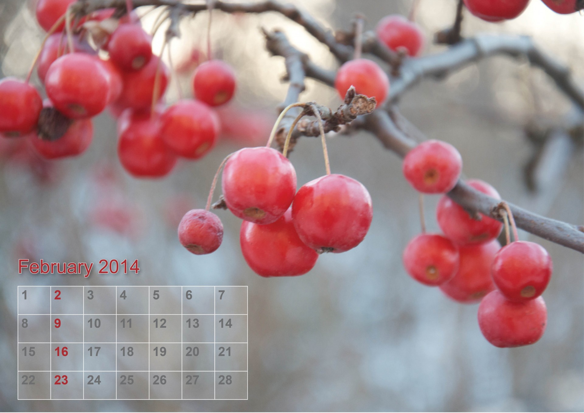 february calendar date free photo
