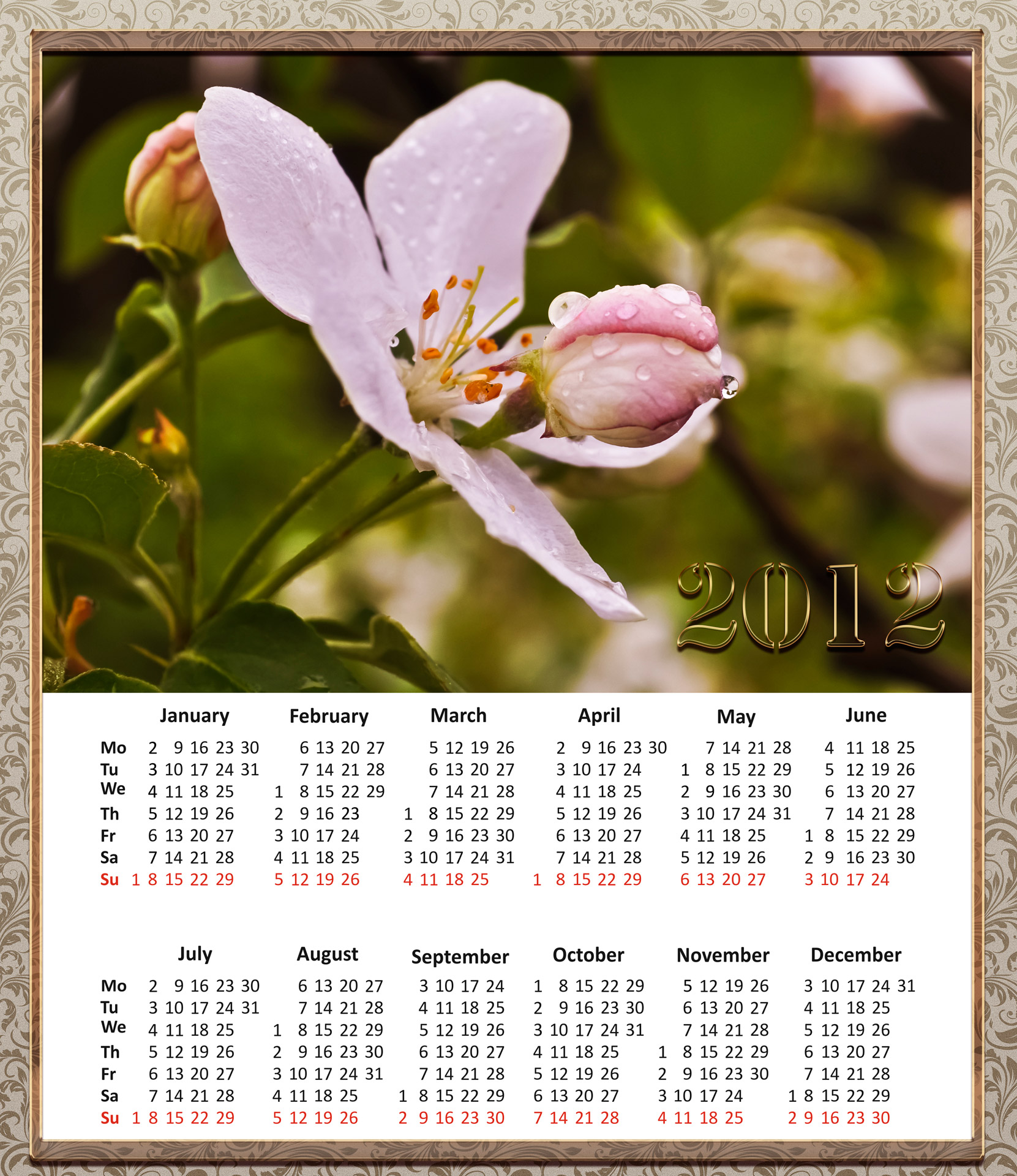 flowers drops calendar free photo