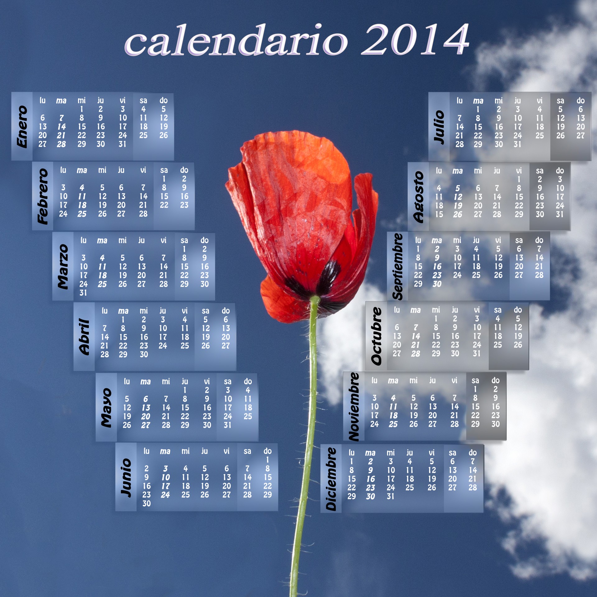 calendar 2014 poppy free photo