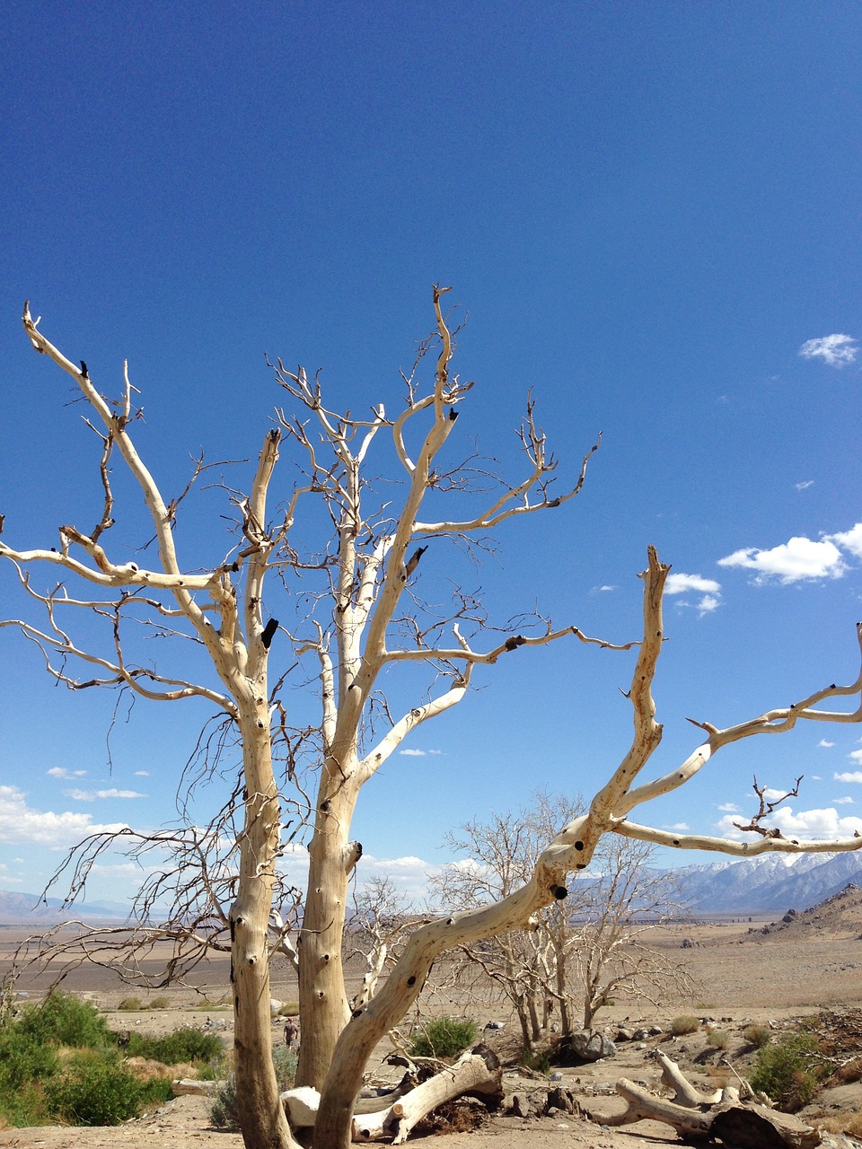 california desert sky free photo