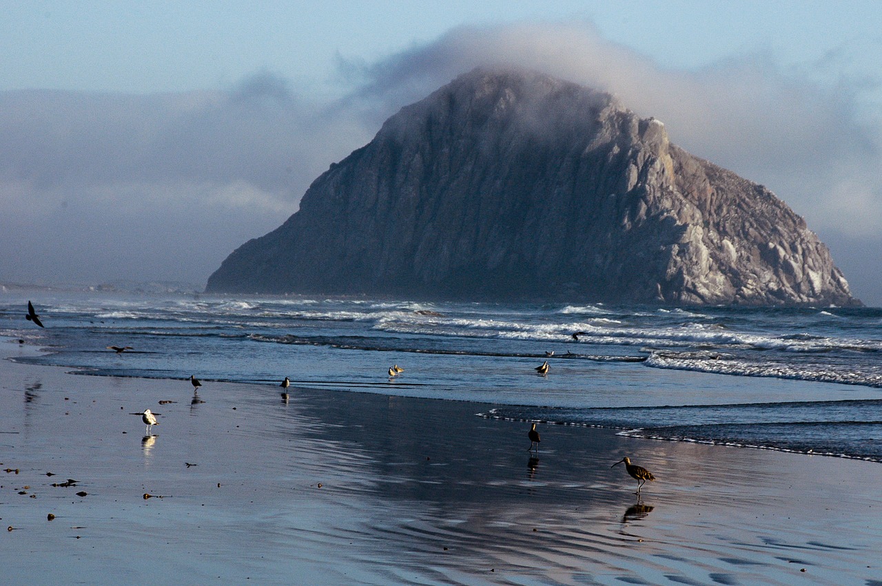 california nature reserve pacific free photo