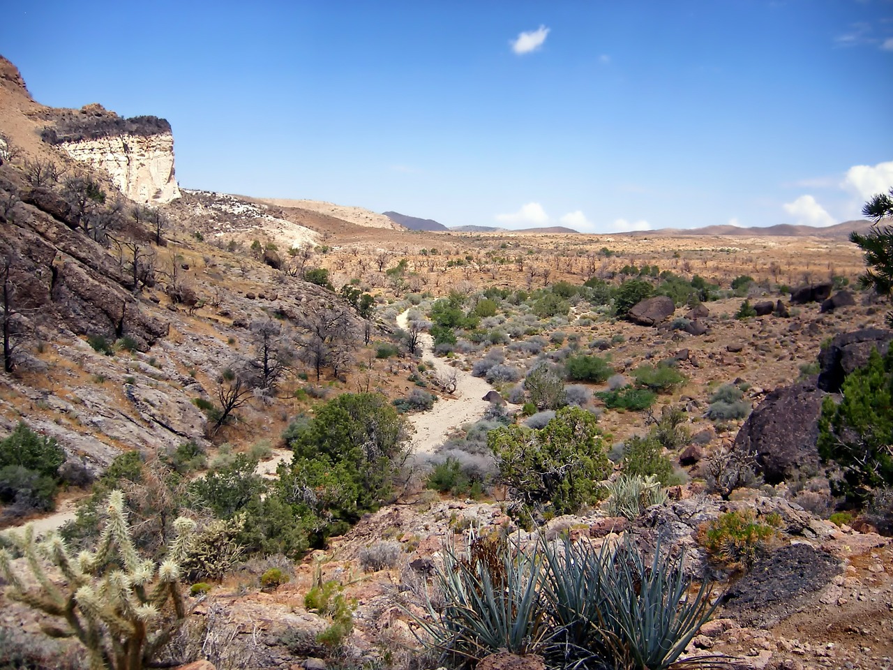 california landscape scenic free photo