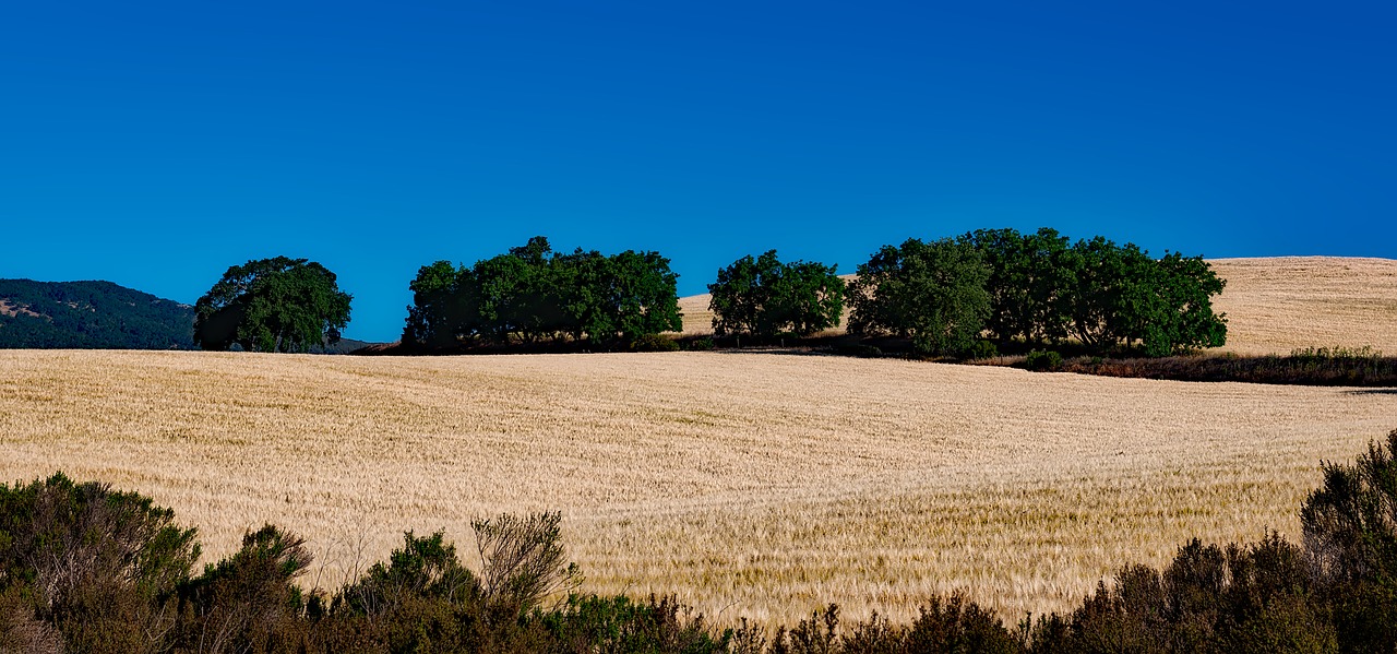 california landscape scenic free photo