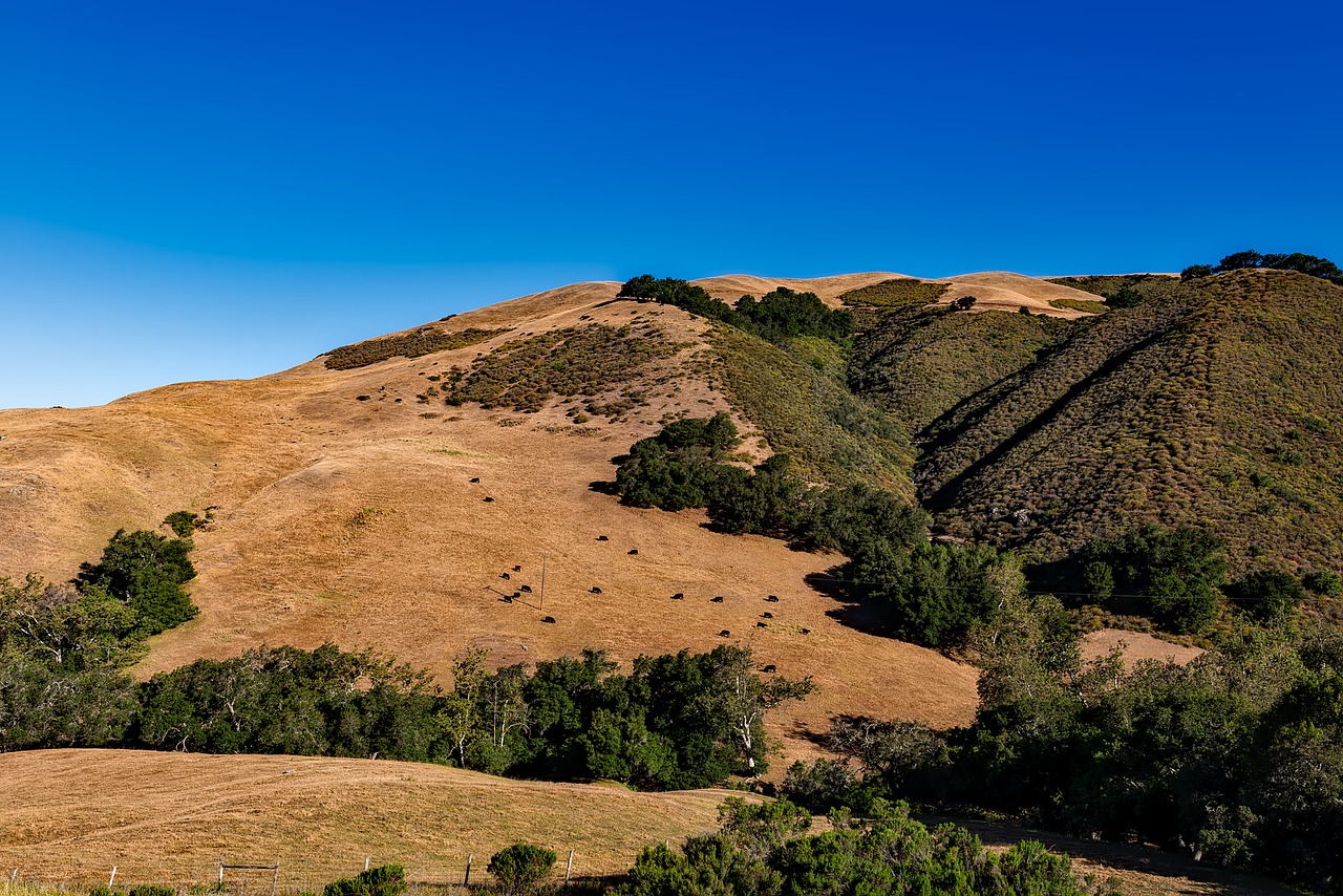 california landscape scenic free photo