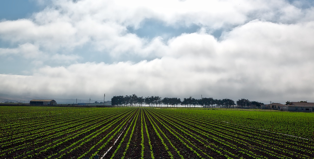 california panorama farm free photo