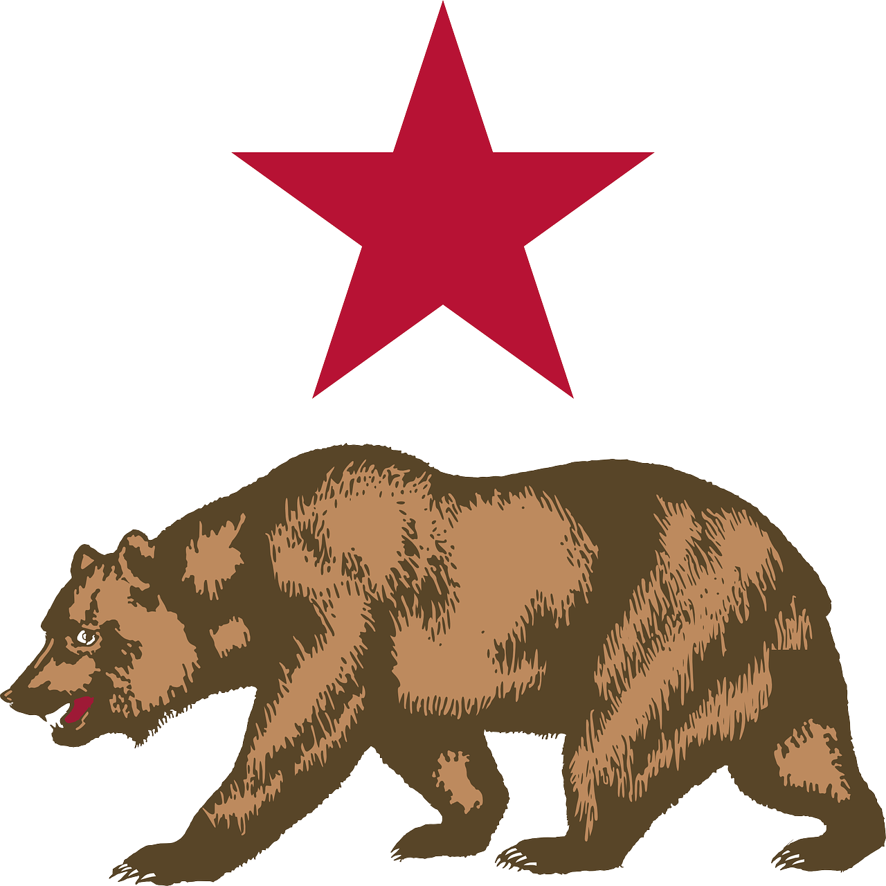 california bear star free photo