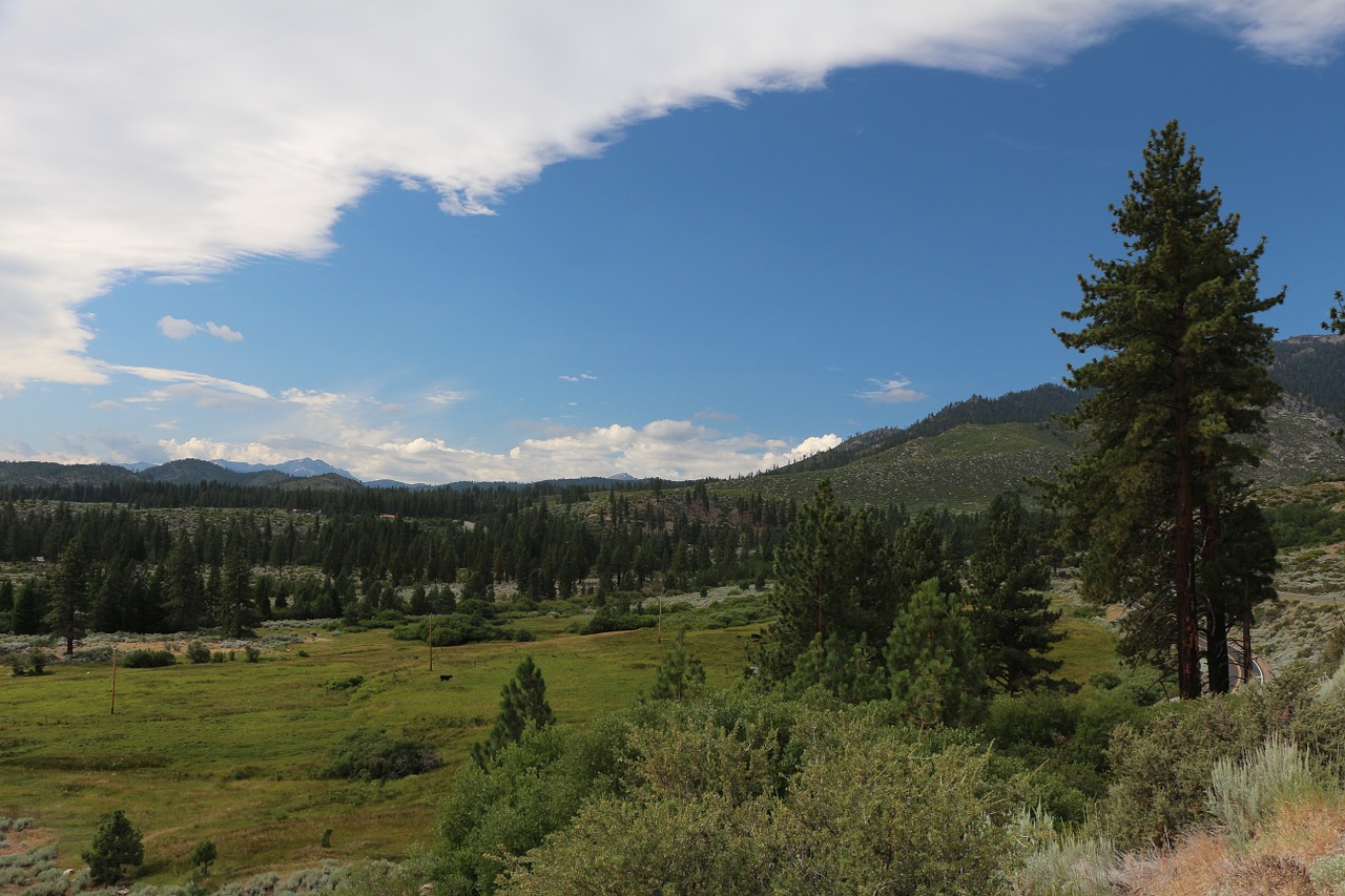 california fields landscape free photo