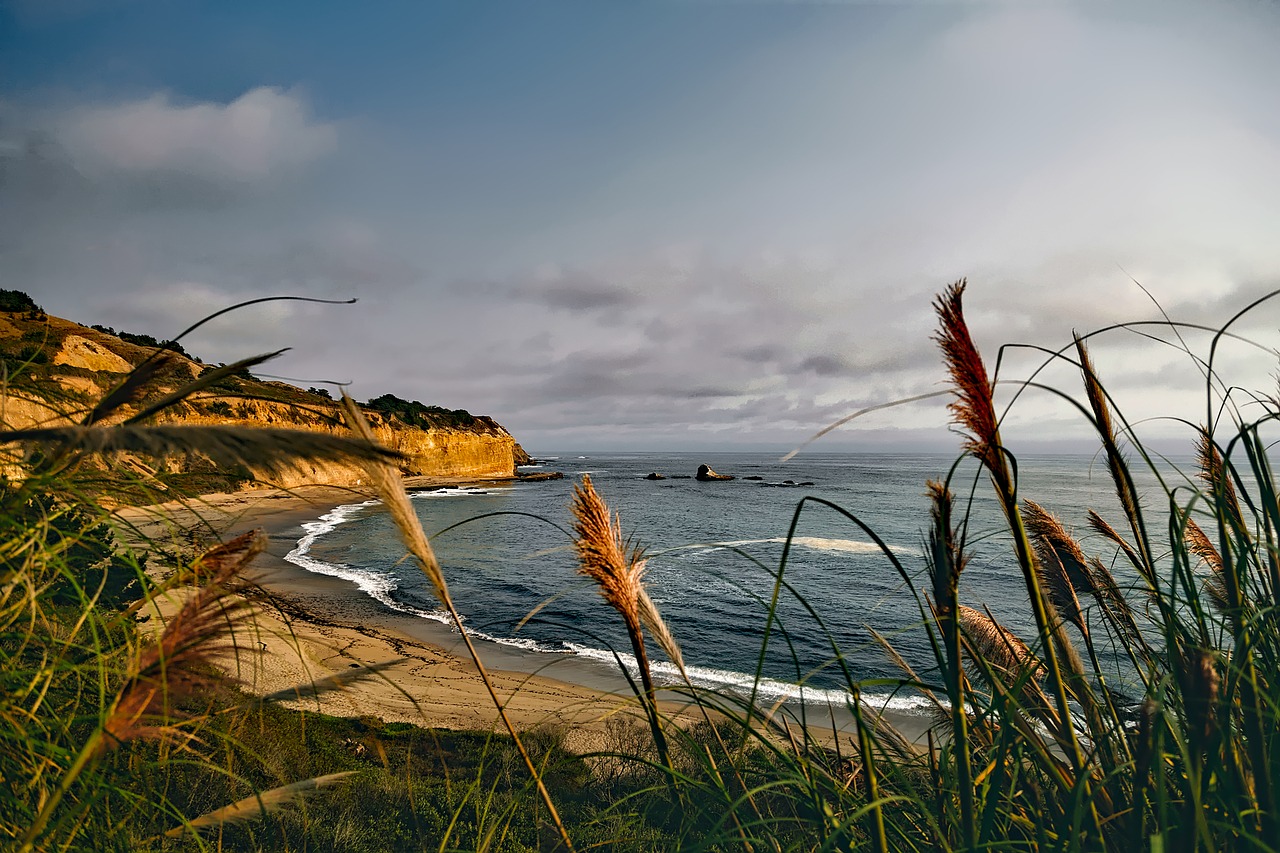 california coastline beach free photo