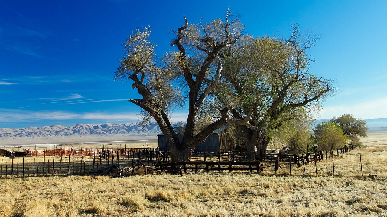 california ranch farm free photo