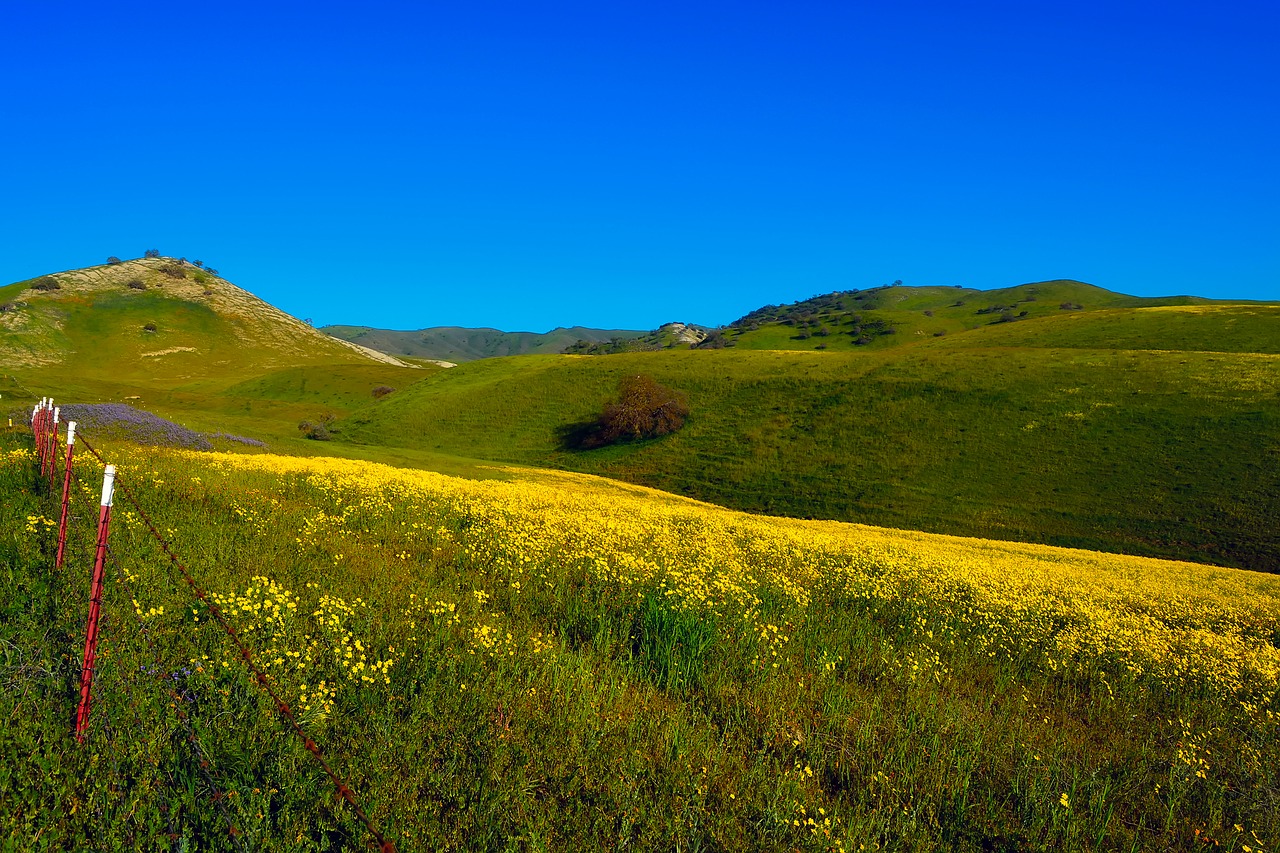 california landscape scenic free photo