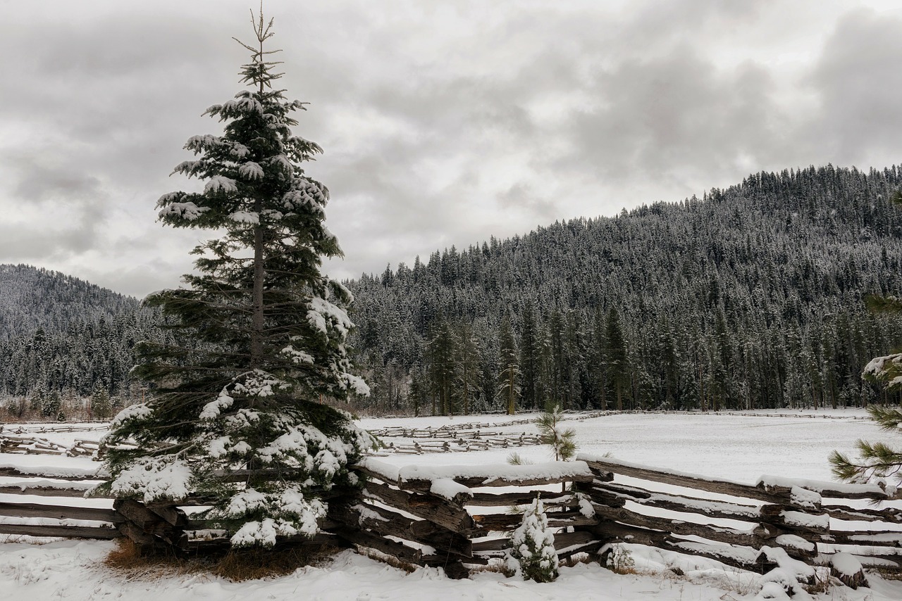 california landscape scenic free photo