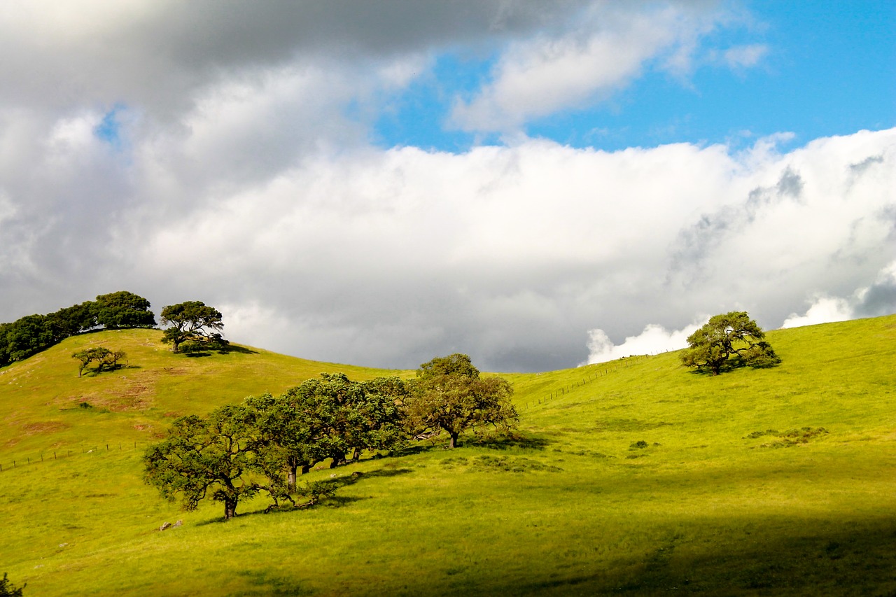 california usa hills free photo