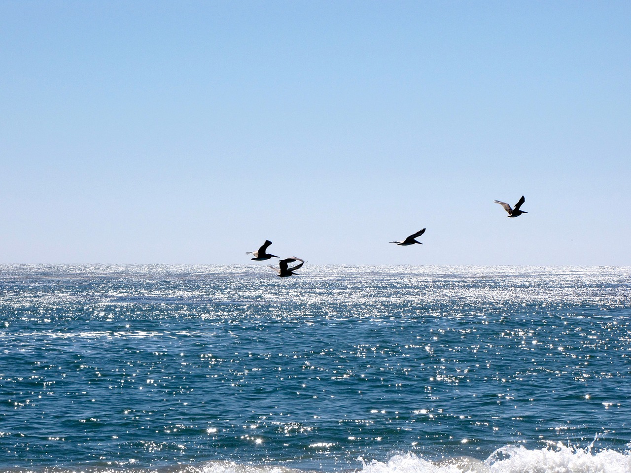 california santa cruz water free photo