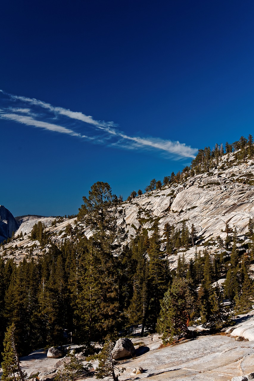 california national park usa free photo