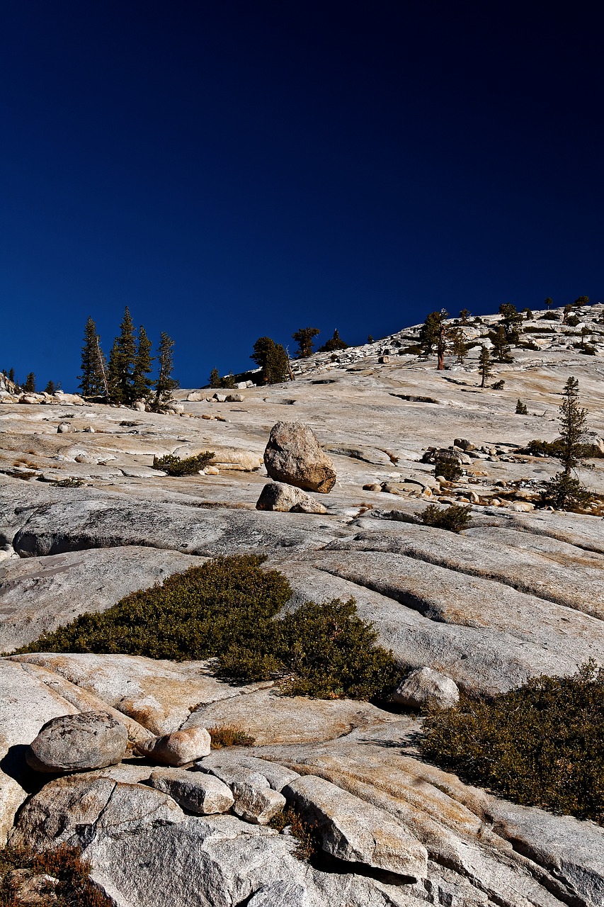 california national park usa free photo