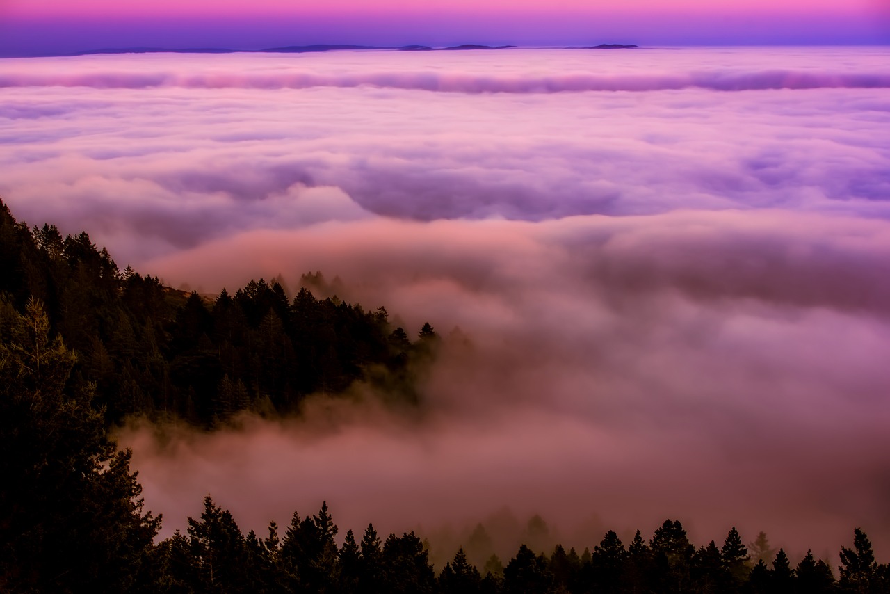 california sunrise fog free photo