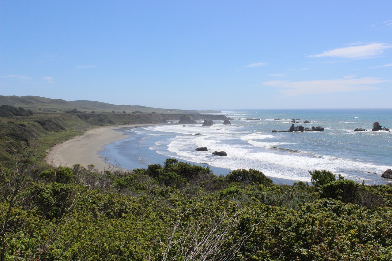 california  coast line  ocean beach free photo