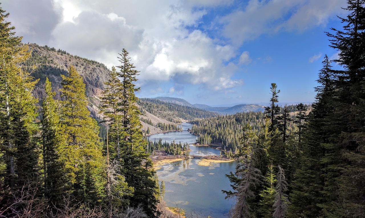 california  river  forest free photo