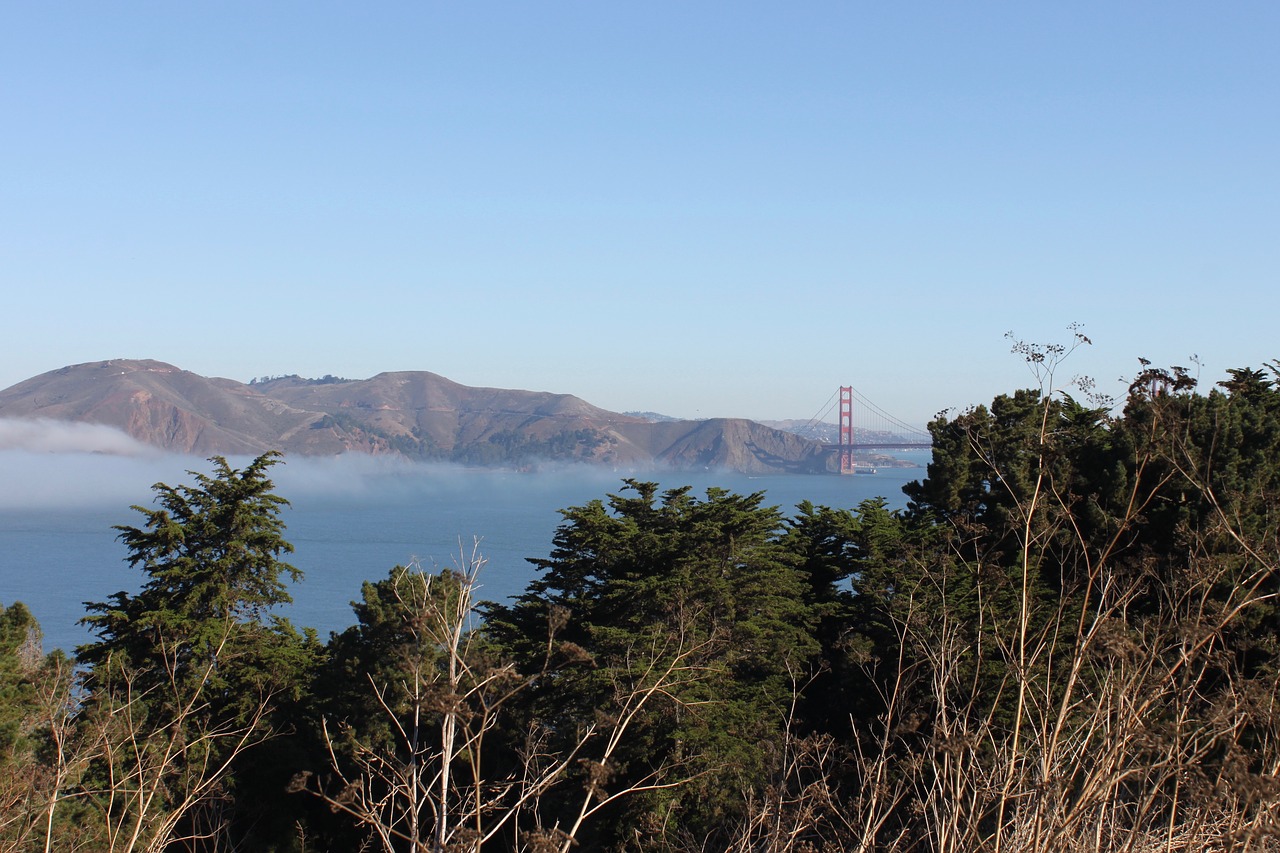 california  san francisco  bridge free photo