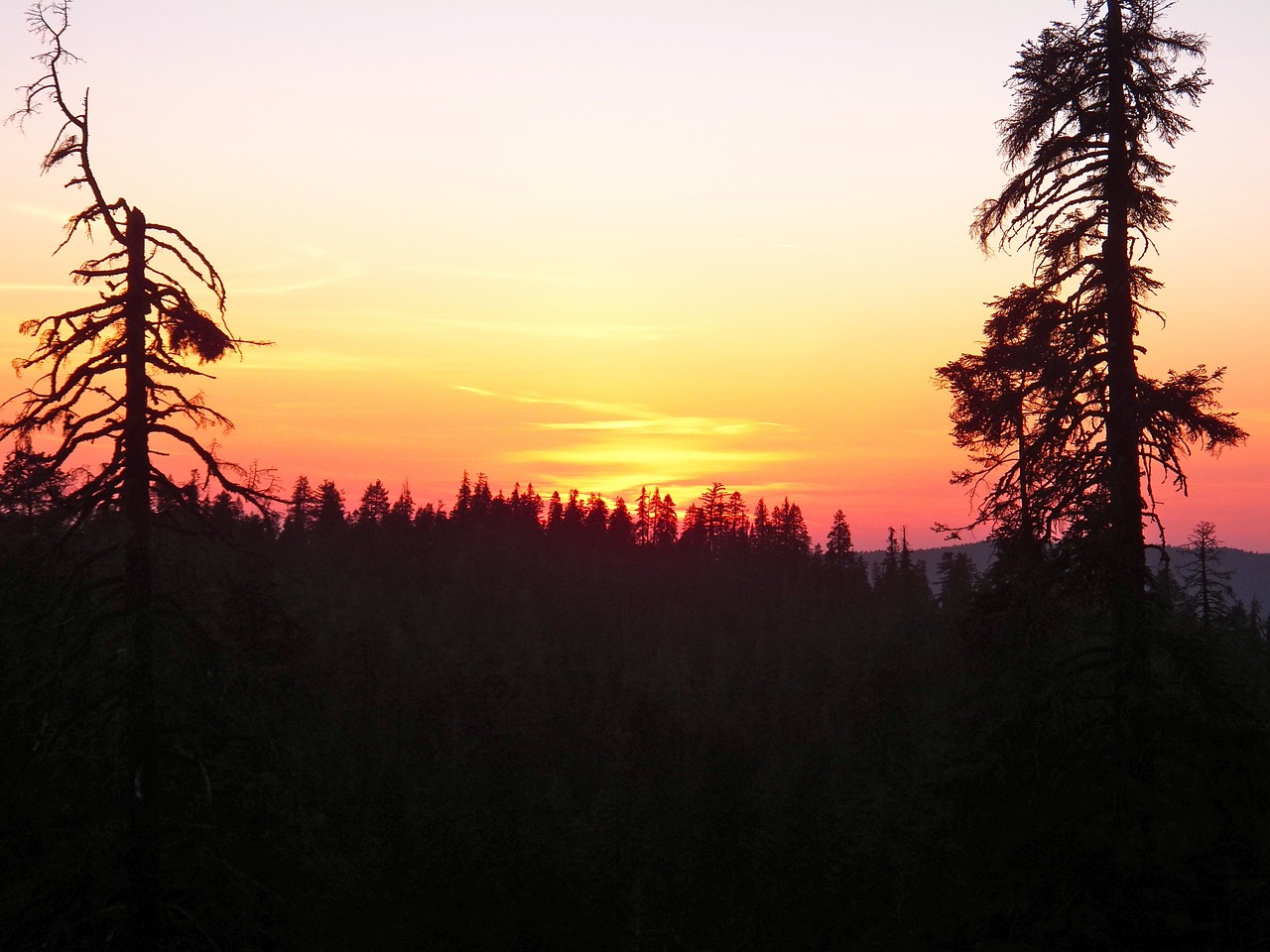 california sunset silhouettes free photo