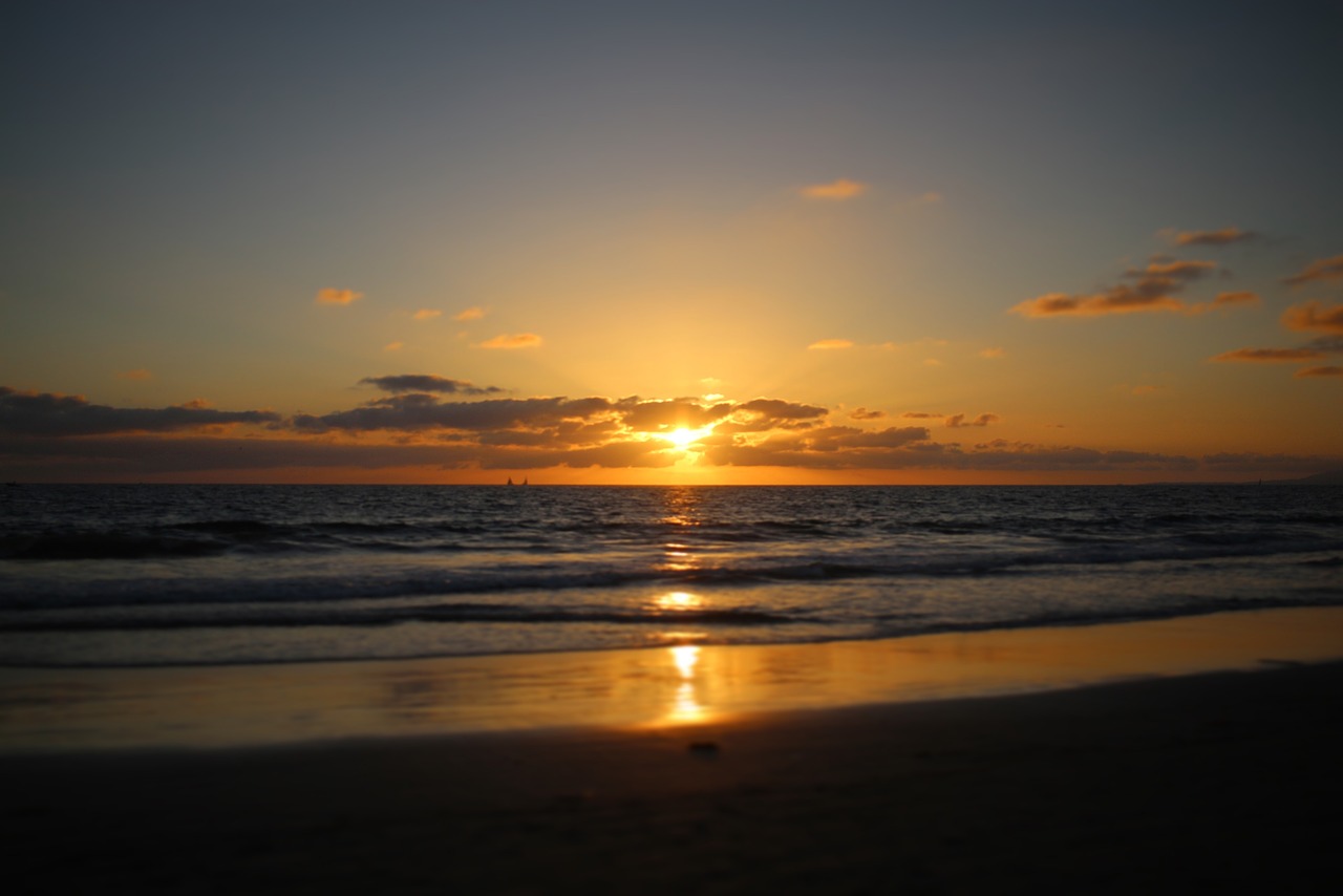 california  beach sunset  newport free photo