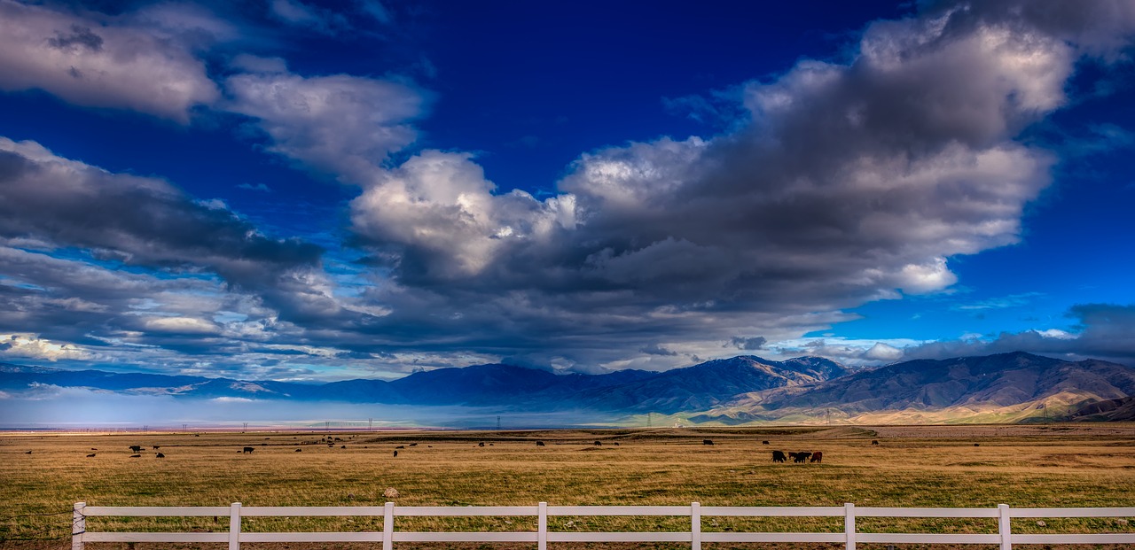 california  america  fence free photo