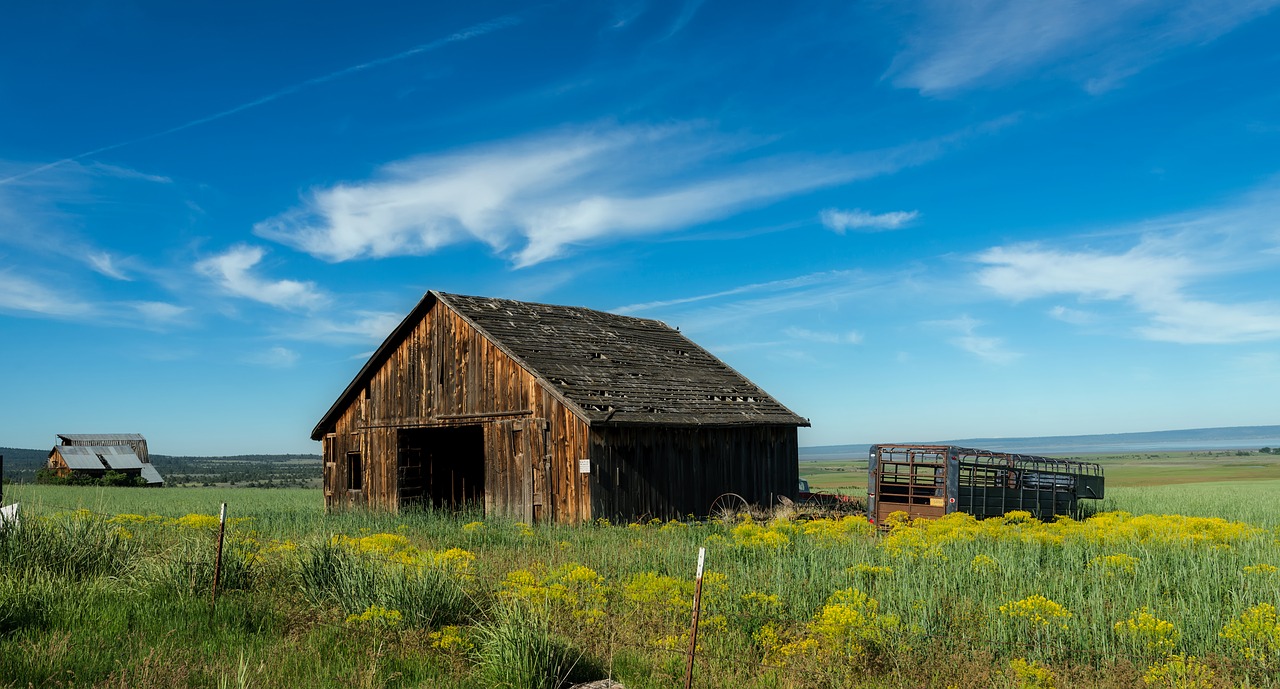 california  america  panorama free photo