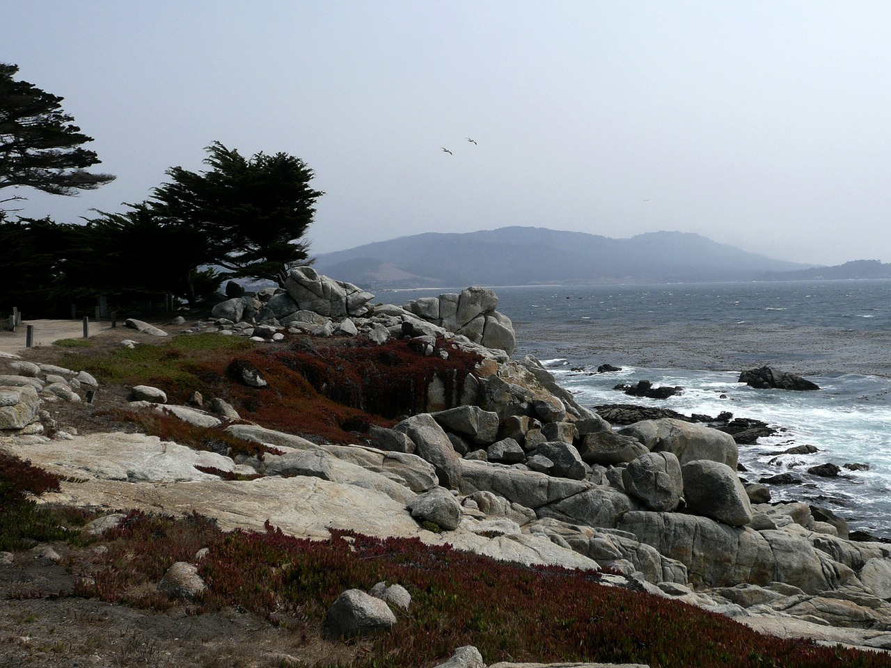 california usa coast free photo