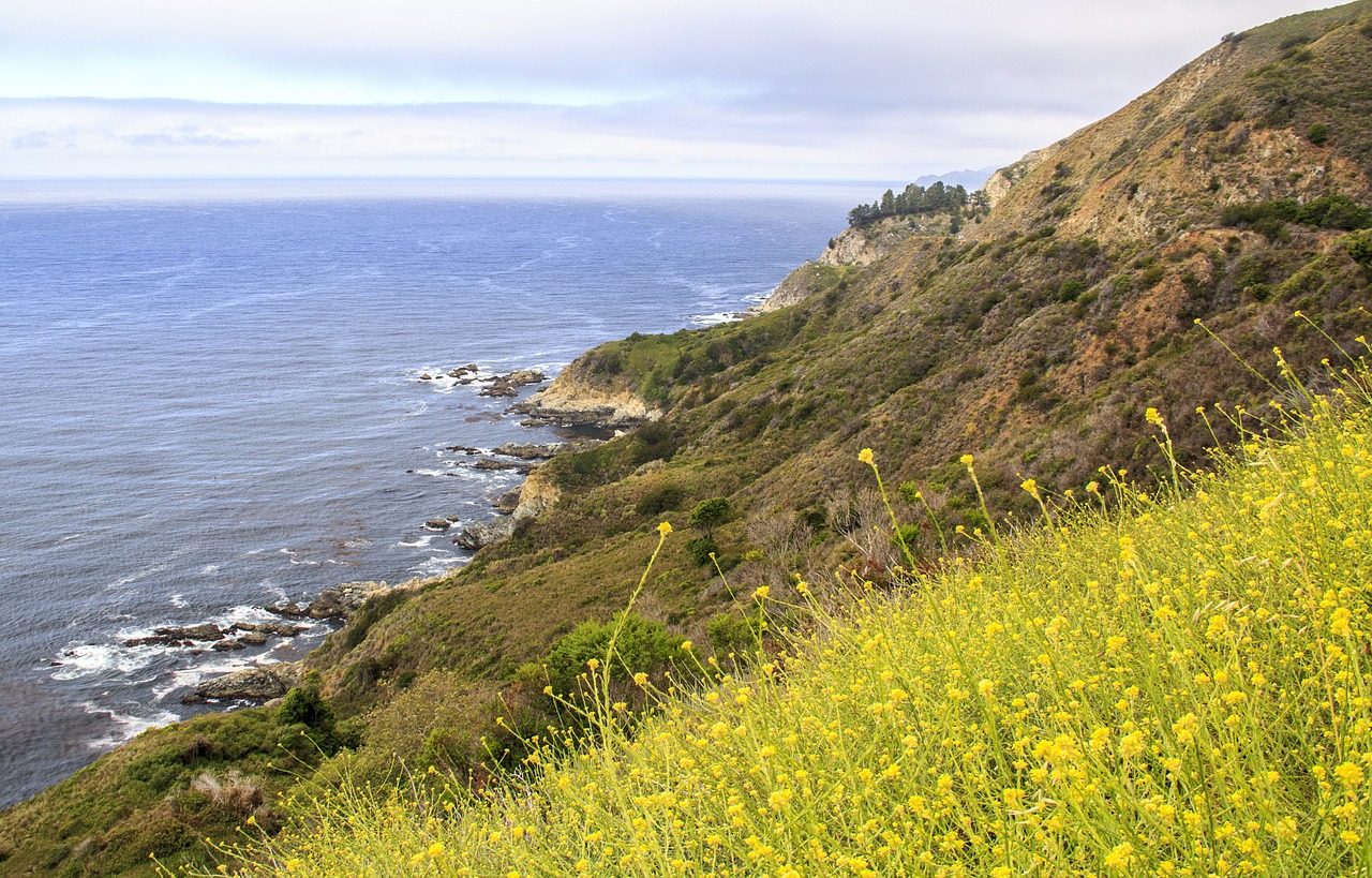 california coast big sur free photo