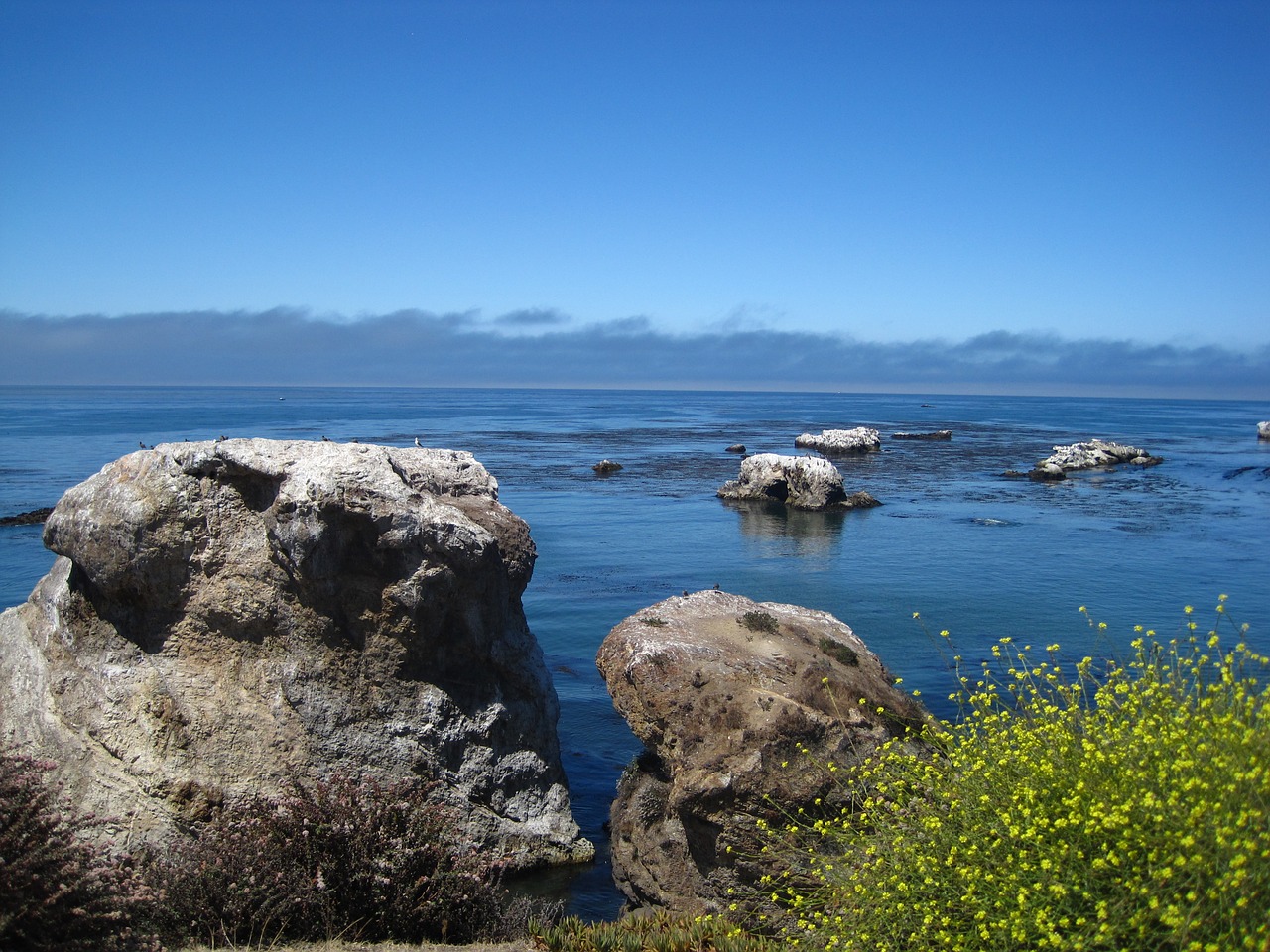 california coast ocean free photo