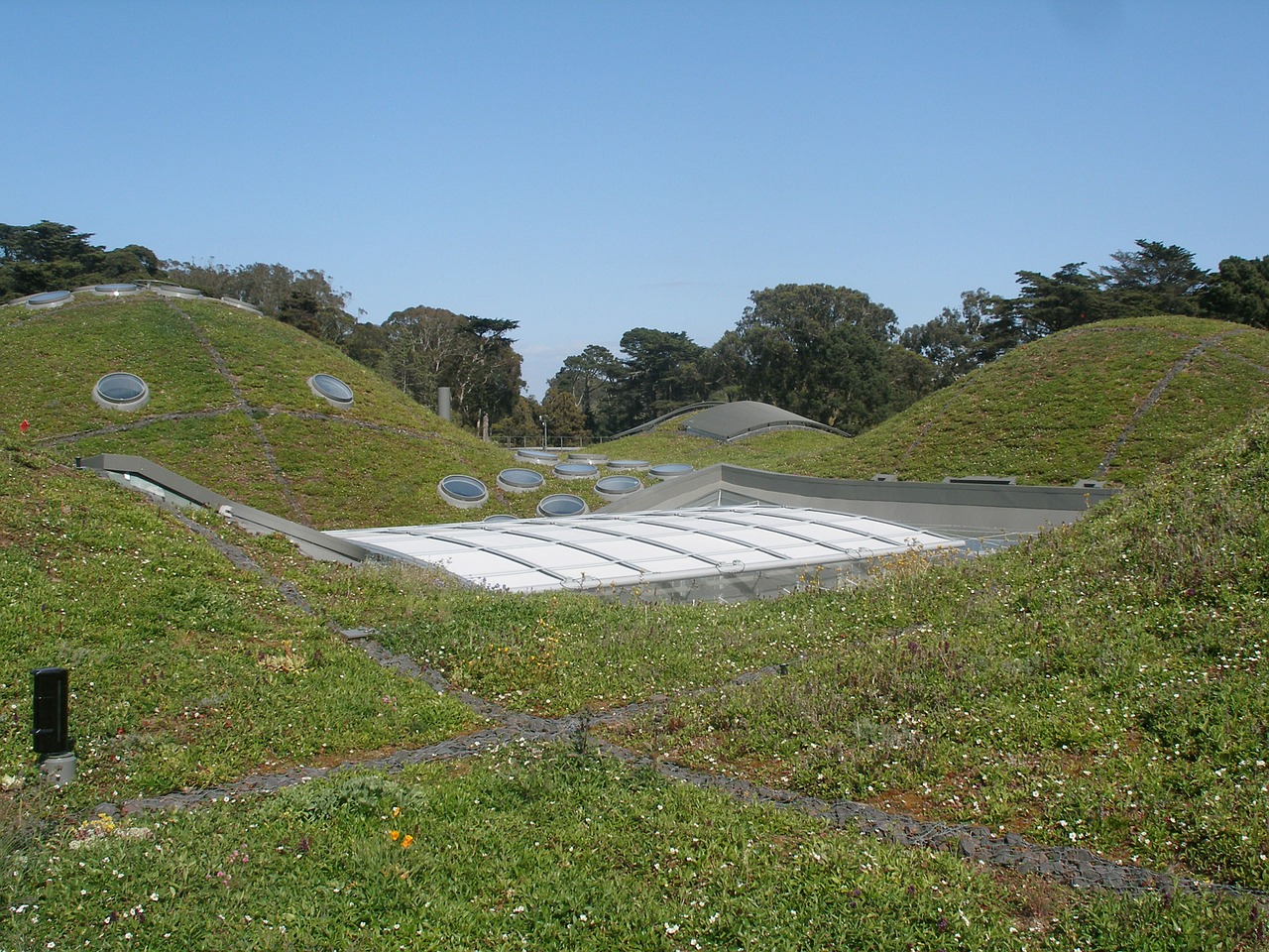 california academy of sciences green roof architecture free photo