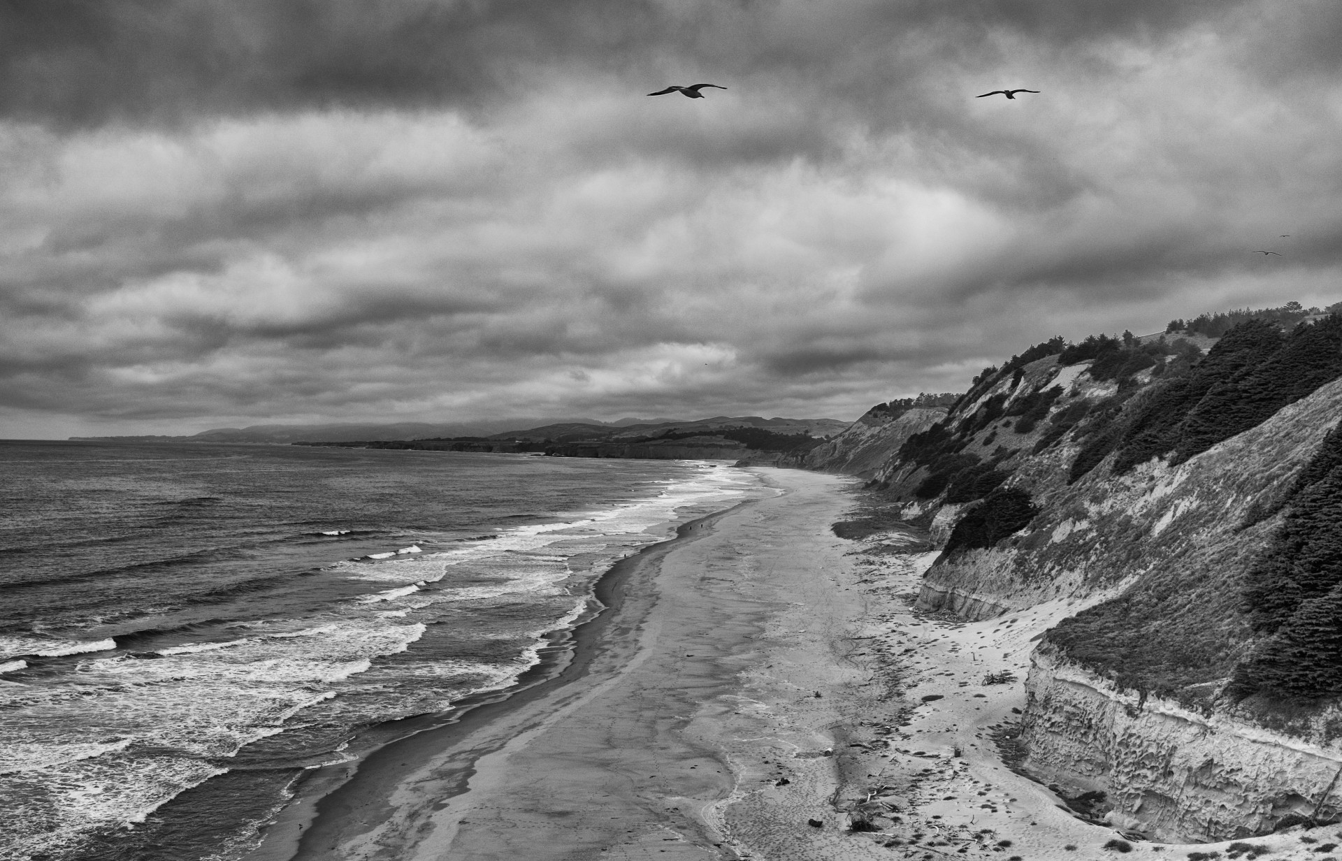 california beach ocean free photo