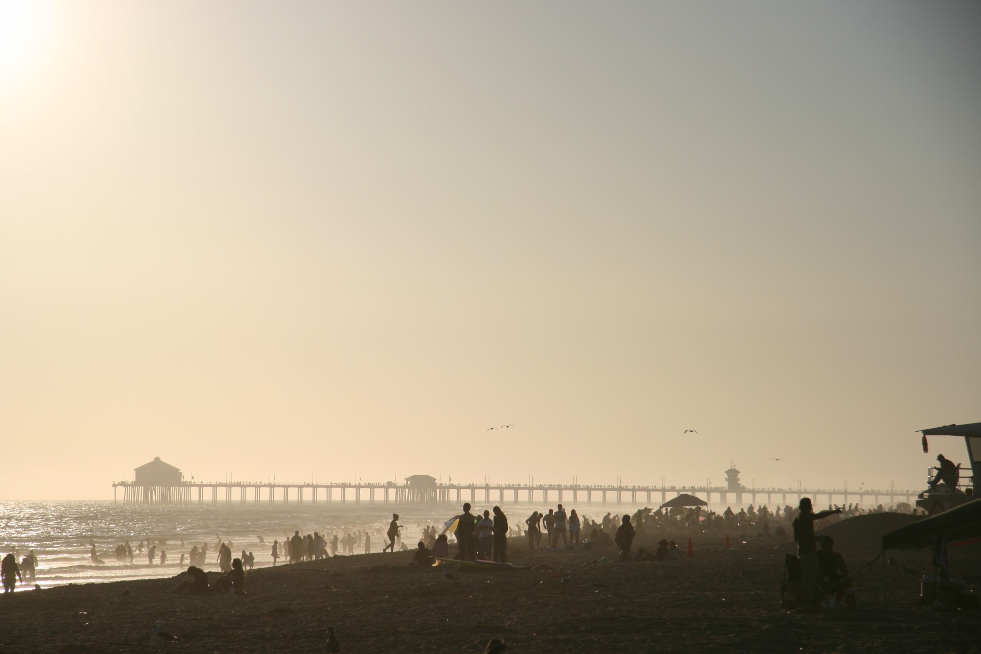 california beach pier free photo