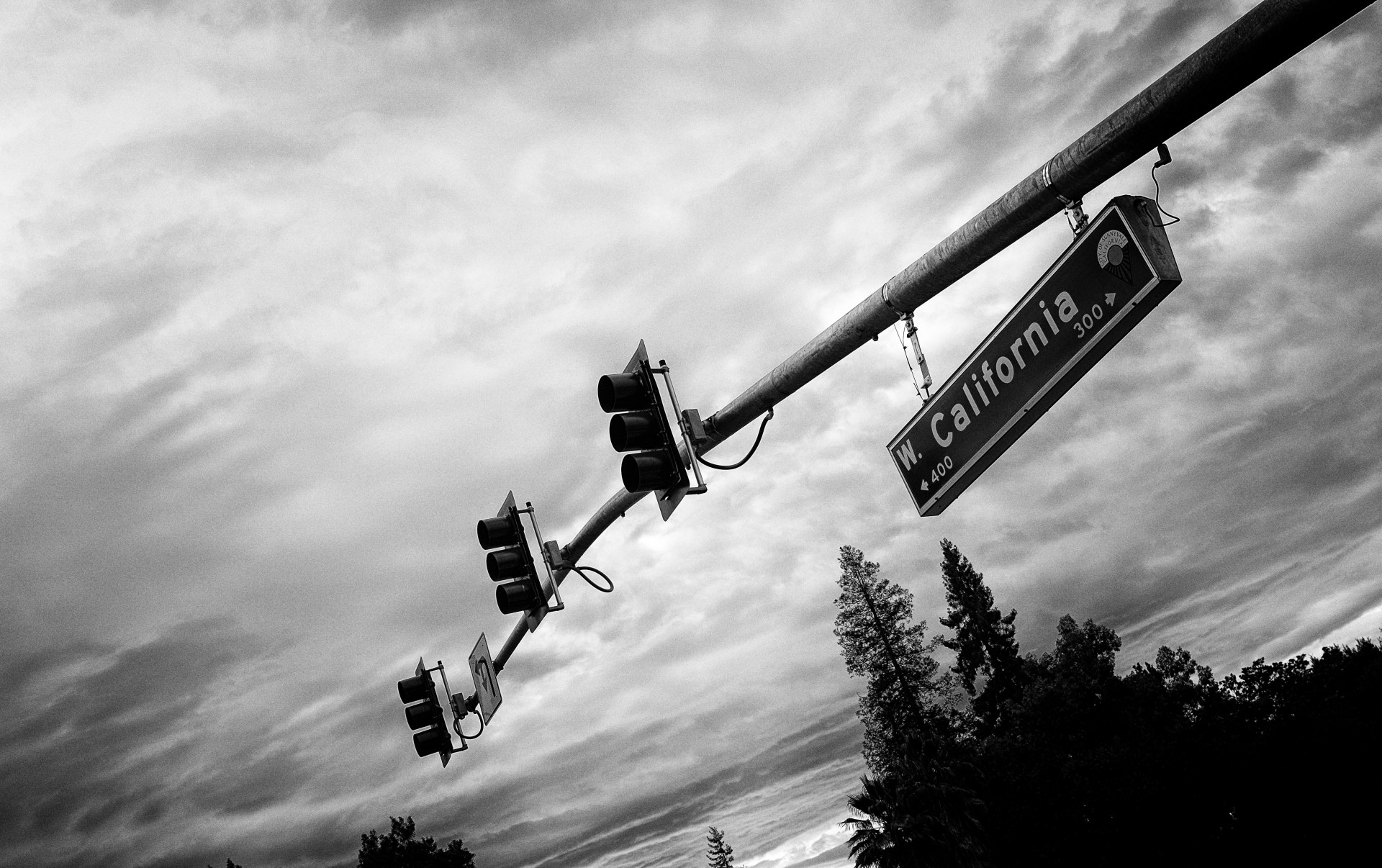 traffic light california free photo