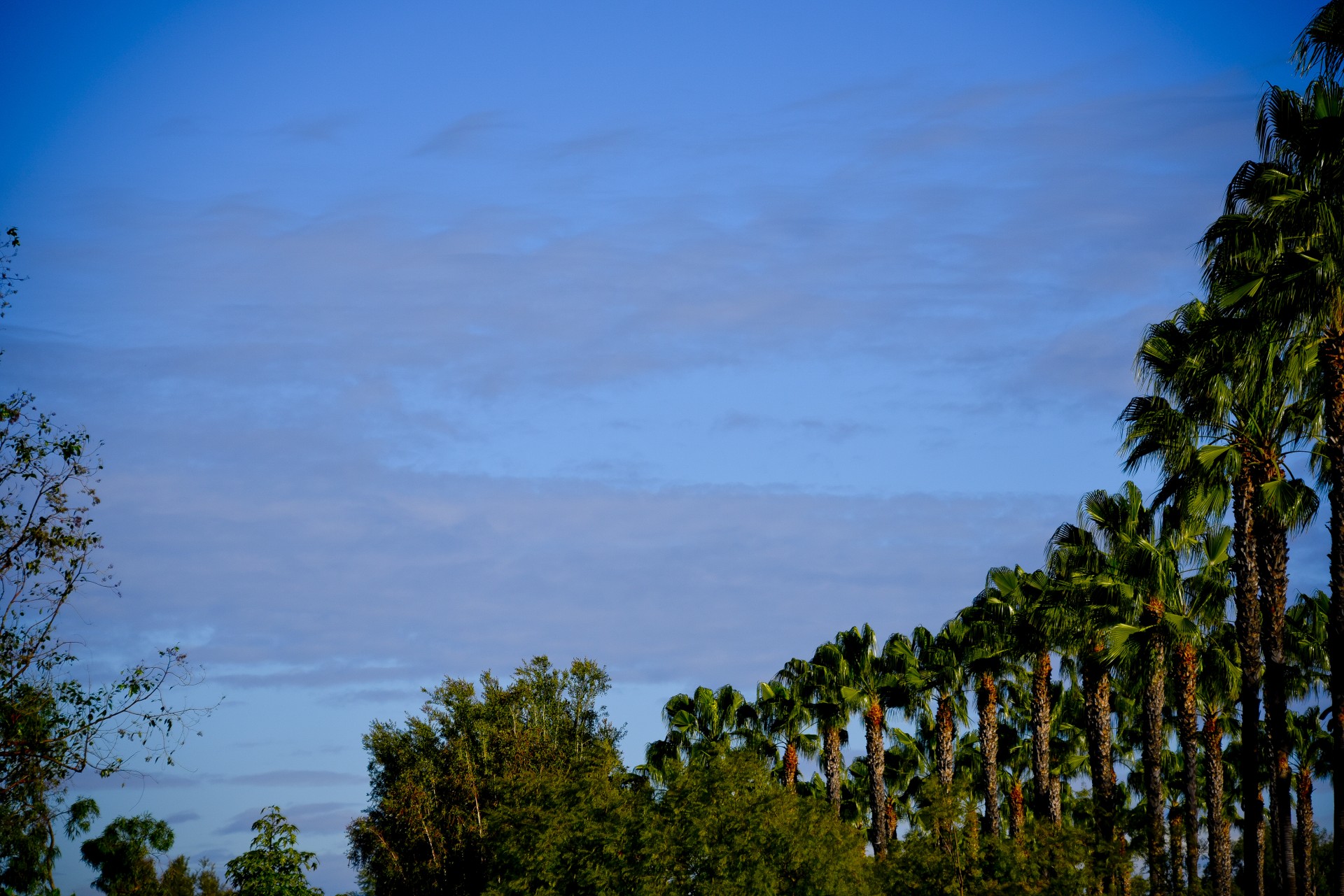 california scenic background free photo