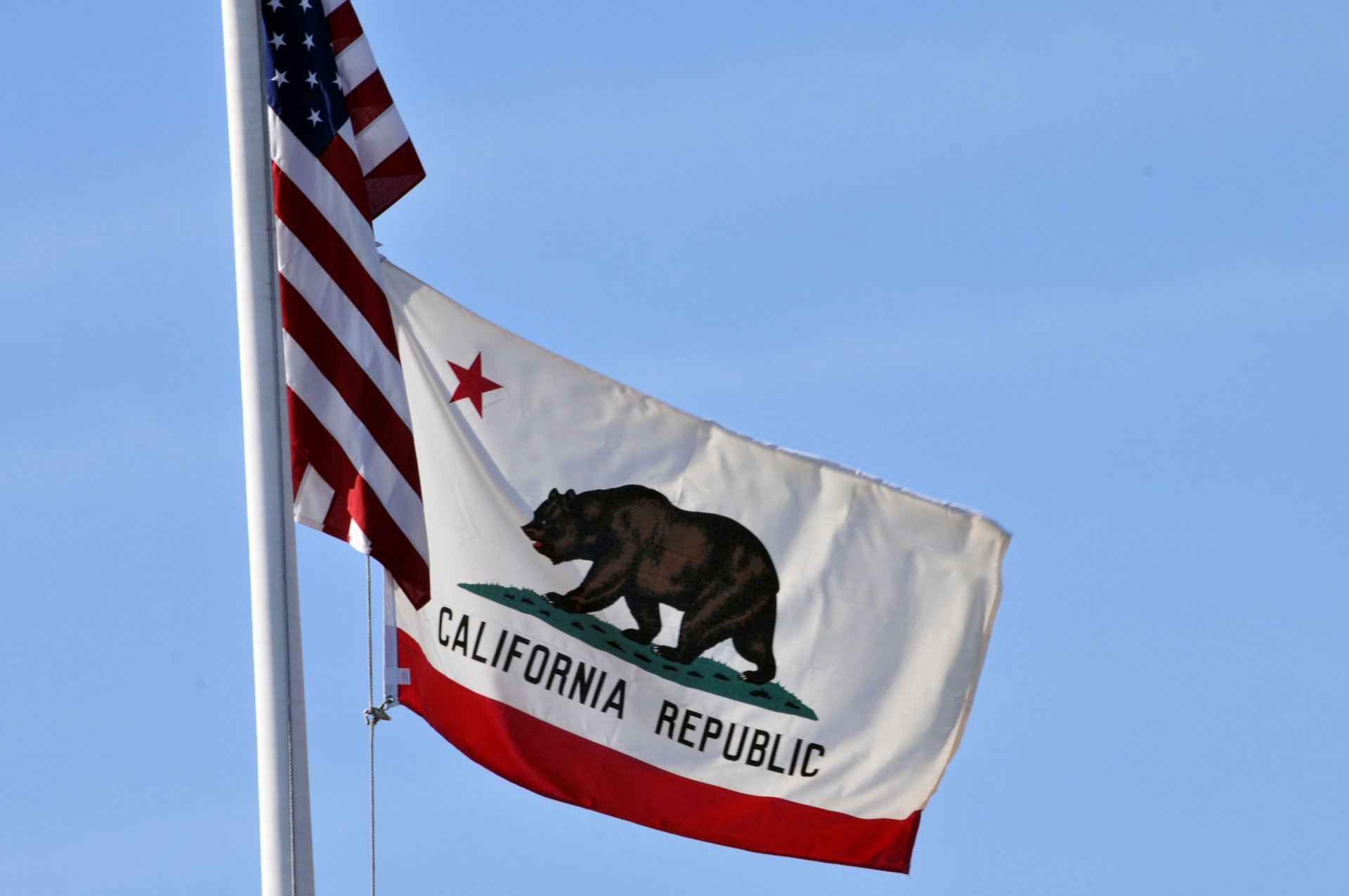 california state flag free photo