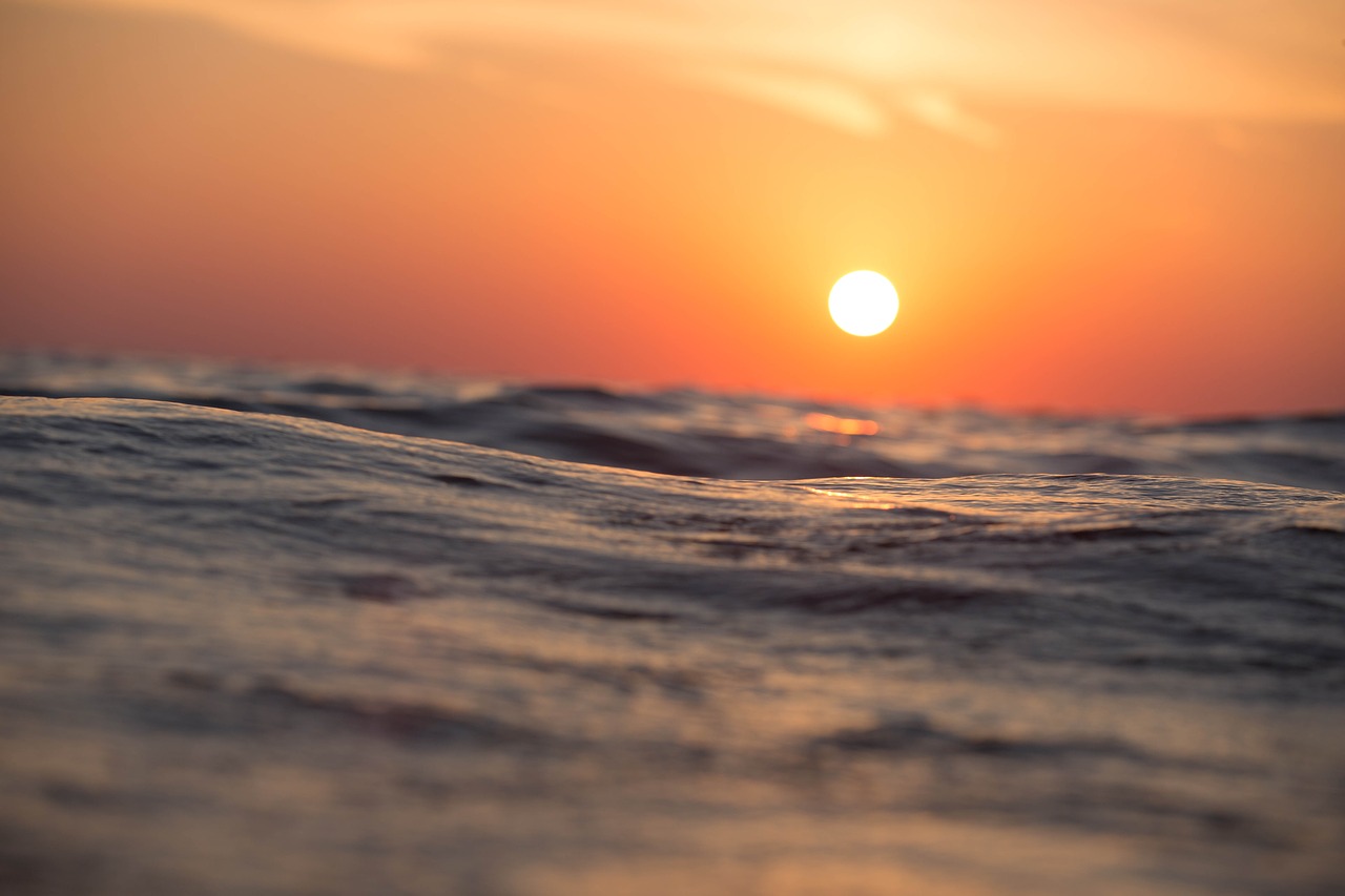 calm hawaii ocean free photo